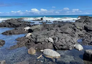 Haena Hike and Swim with Native Hawaiian