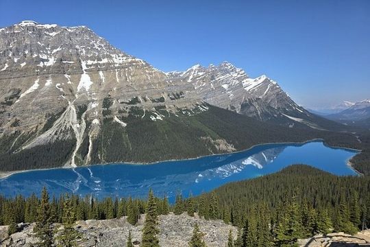 Banff Small-Group Tour in Lake Louise, Moraine and Hidden Gems