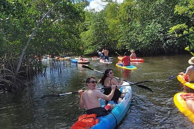 Tropical Mangrove Wildlife Guided ECO Kayak & SUP Board Adventure