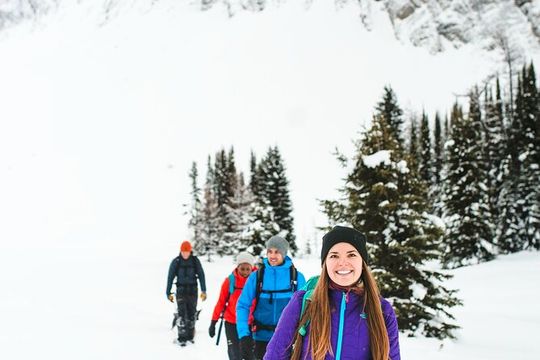 Explore Winter Wildlife Tracks Nature Walk in Canmore