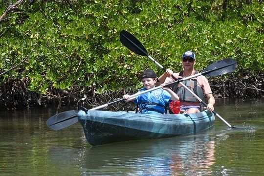 Heart of Rookery Bay Kayak Tour