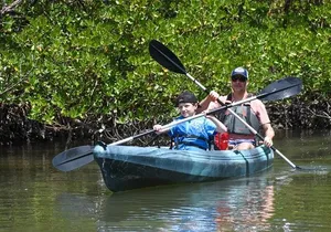 Heart of Rookery Bay Kayak Tour