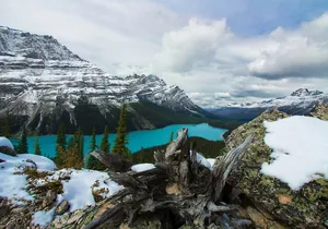 Columbia Icefield Skywalk Crowfoot Glacier and Lakes Tour