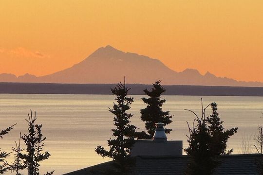 Full Day Anchorage Tour with Alaskan Guide