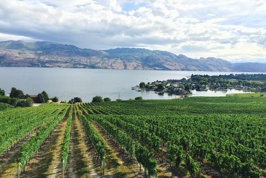 Two Day Private Wine and Bike Tour Vancouver to Kelowna