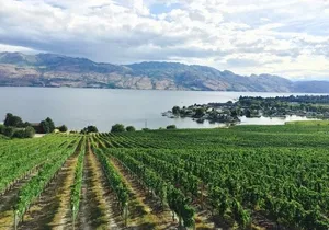 Two Day Private Wine and Bike Tour Vancouver to Kelowna