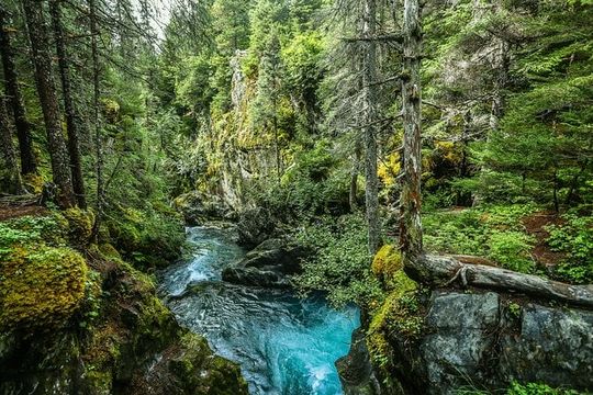 Anchorage to Seward and Homer RoundTrip Self Guided Driving Tours