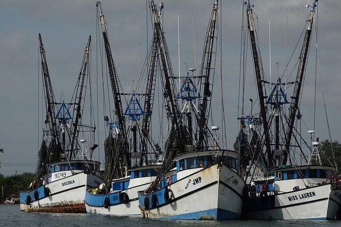 Port of Brownsville Tours
