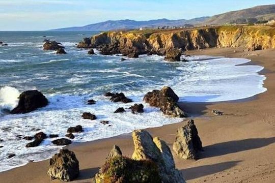 Private Sonoma Winery Tour