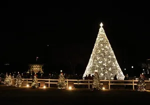 Holiday Lights Tour at US Capitol and White House