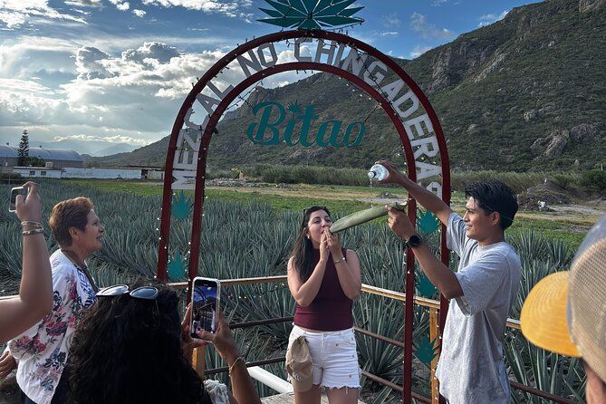 Private Oahu Custom Tour by Sprinter Van | Up to 10 Guests