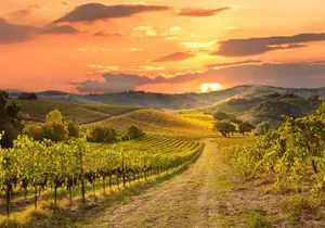 Best of Sonoma Scenic Tour ( Join In)