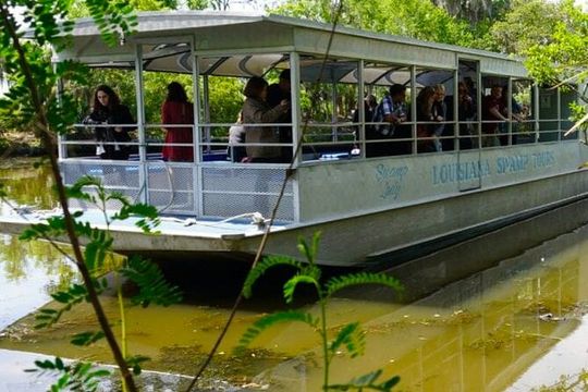 Private Swamp Tour on Pontoon Boat with Private Transportation