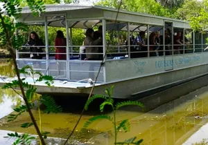 Private Swamp Tour on Pontoon Boat with Private Transportation