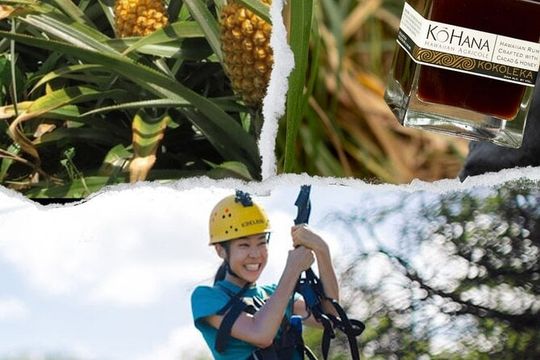 Dole Plantation, Ko Hana Rum and 3 Zipline Adventure Tour