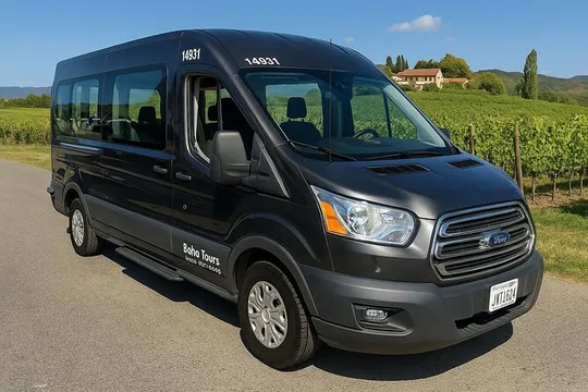 Half-Day Private Shuttle Wine Country Tour of Napa or Sonoma
