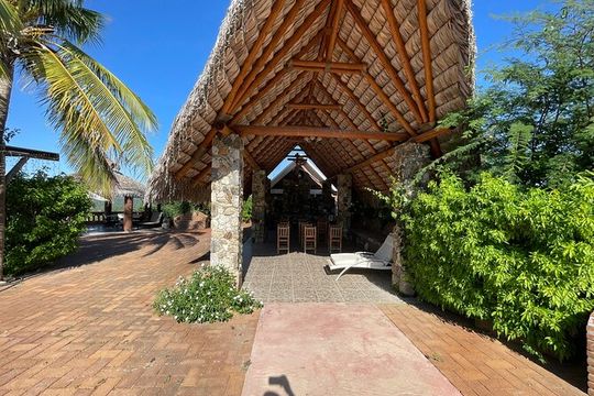 Private Foco Tonal Sound Experience Cabo & San José Pickup