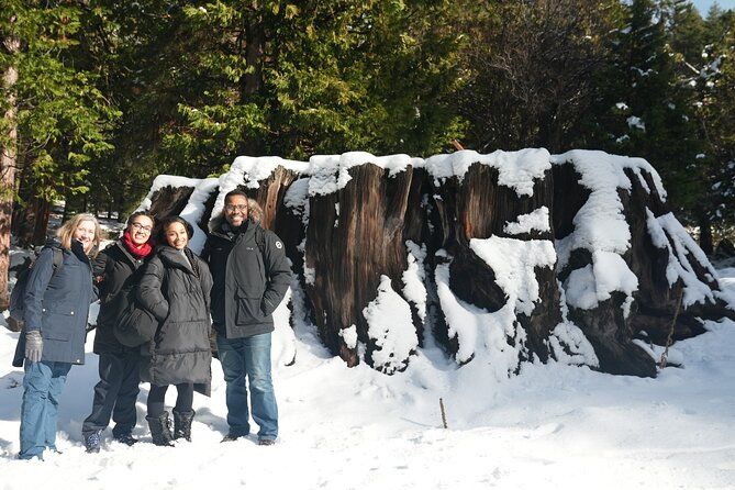 Private 1-Day Sequoia and Kings Canyon Park Tour from Los Angeles