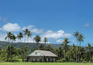 Half Day Private Road to Hana Tour with Pickup
