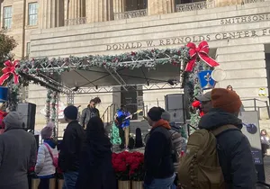 Smithsonian Museums Walking Tour Explore DCs Treasures