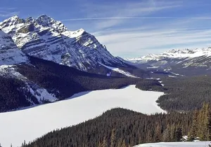 Rocky Mountains Peyto Lake and Banff Day Trip