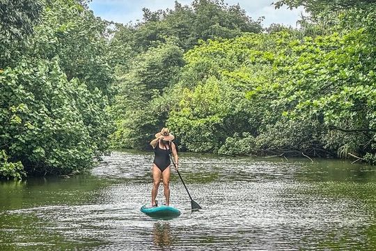 Stand Up Paddle Boarding Adventure in Windward Oahu