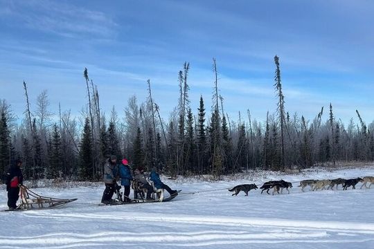 Alaskan Sled Dog Adventure Tour from Anchorage