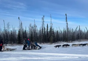 Alaskan Sled Dog Adventure Tour from Anchorage