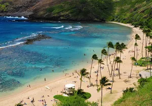 Private North Shore and Polynesian Culture Day Trip in Oahu