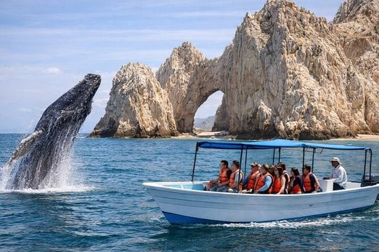 2-Hour Shore Excursion | Arch, Lover’s Beach & Whale Encounters