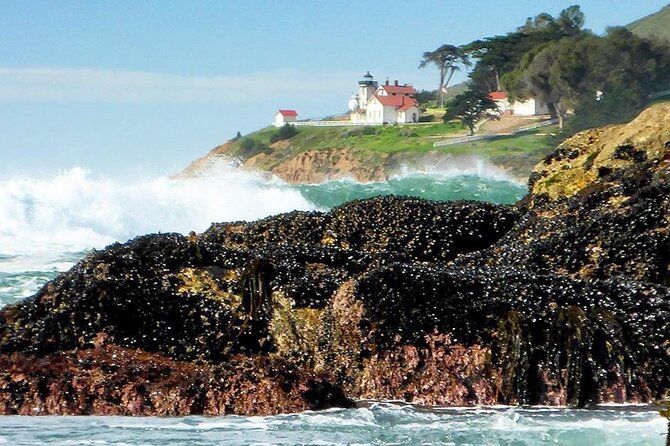 Coastal Hiking Adventures on California's Central Coast