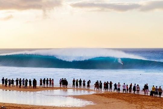 Scenic Half Day North Shore Tour Turtle Bay pickup only