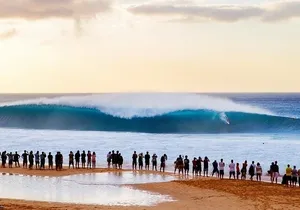 Scenic Half Day North Shore Tour Turtle Bay pickup only