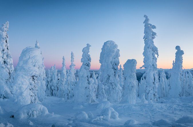 Arctic Circle & Northern Lights - Dalton Highway Tour