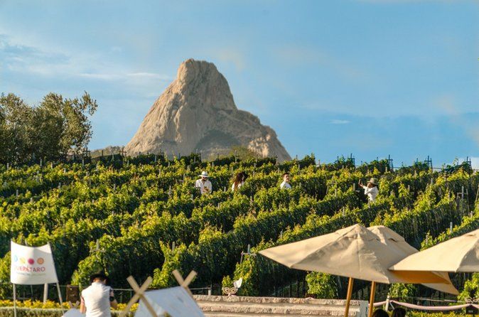 Wine and Cheese Tour with Peña de Bernal and Tequisquiapan