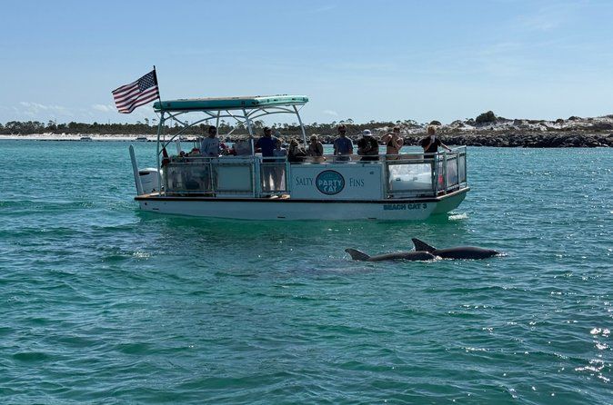Shell Island Snorkel And dolphin sightseeing