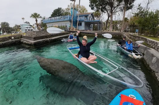 Crystal River Florida: Clear Kayak Guided Manatee Eco-Tour