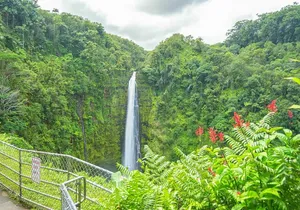 Hilo Finest Waterfalls and Town Tour