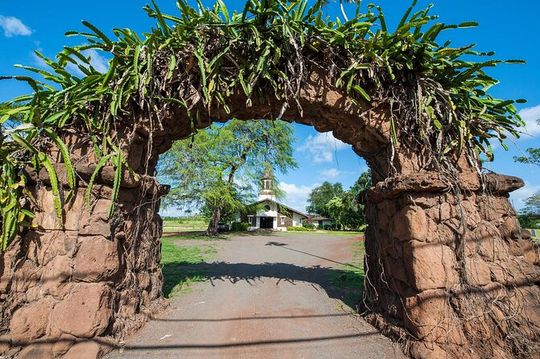 Private Haleiwa and Grand Circle Island Day Trip in Oahu
