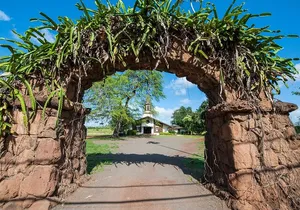 Private Haleiwa and Grand Circle Island Day Trip in Oahu