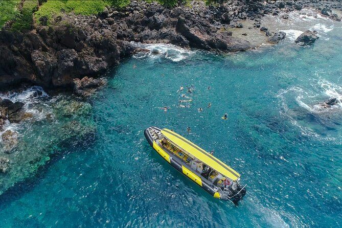 3 Hour Turtle Town Snorkel and Whale Watch Tour in Kihei