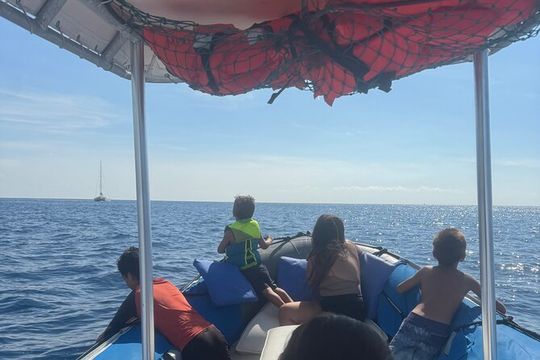 Double Reef Snorkel and Dolphin Watch in Kona