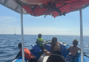 Double Reef Snorkel and Dolphin Watch in Kona