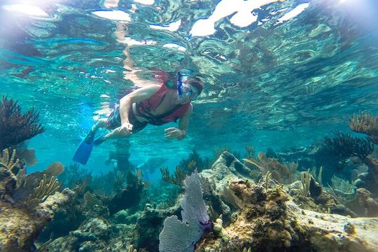 Reef Snorkel and Cenote Experience
