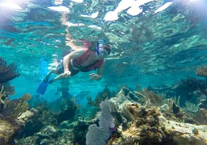 Reef Snorkel and Cenote Experience