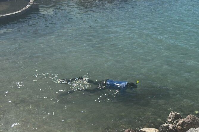 Coral Nursery Snorkeling Eco Adventure in La Paz