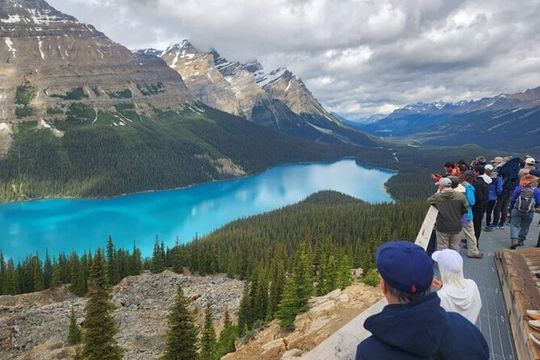 Day Tours in Banff National Park