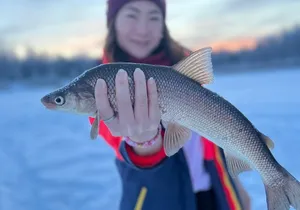 Fairbanks Aurora Viewing and Ice Fishing Tour
