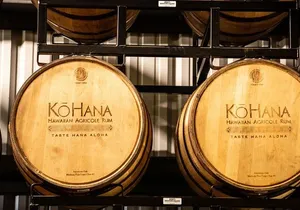 Dole Plantation, Rum Distillery and Luau Experience