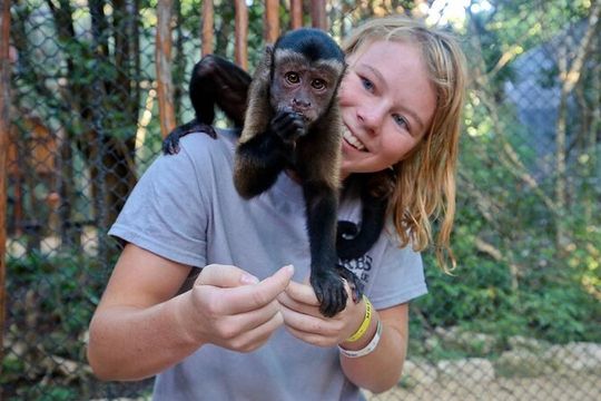 Off Road ATV Cenote Monkeys and Snorkel with Sea Turtles